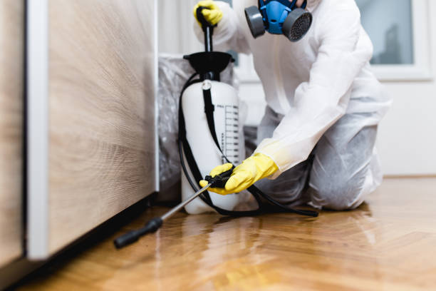 Best Exterminator Services  in Yorktown Heights, NY