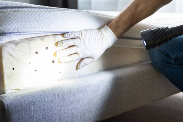 Best Bed Bug Extermination  in Yorktown Heights, NY