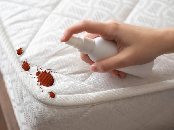 Best Insect Control  in Yorktown Heights, NY
