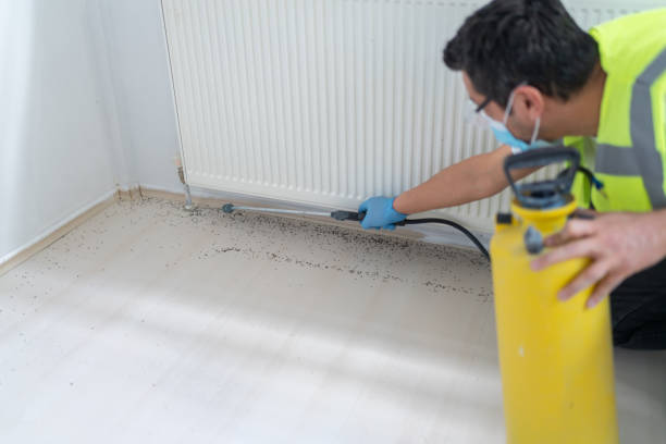 Best Best Pest Control Companies  in Yorktown Heights, NY
